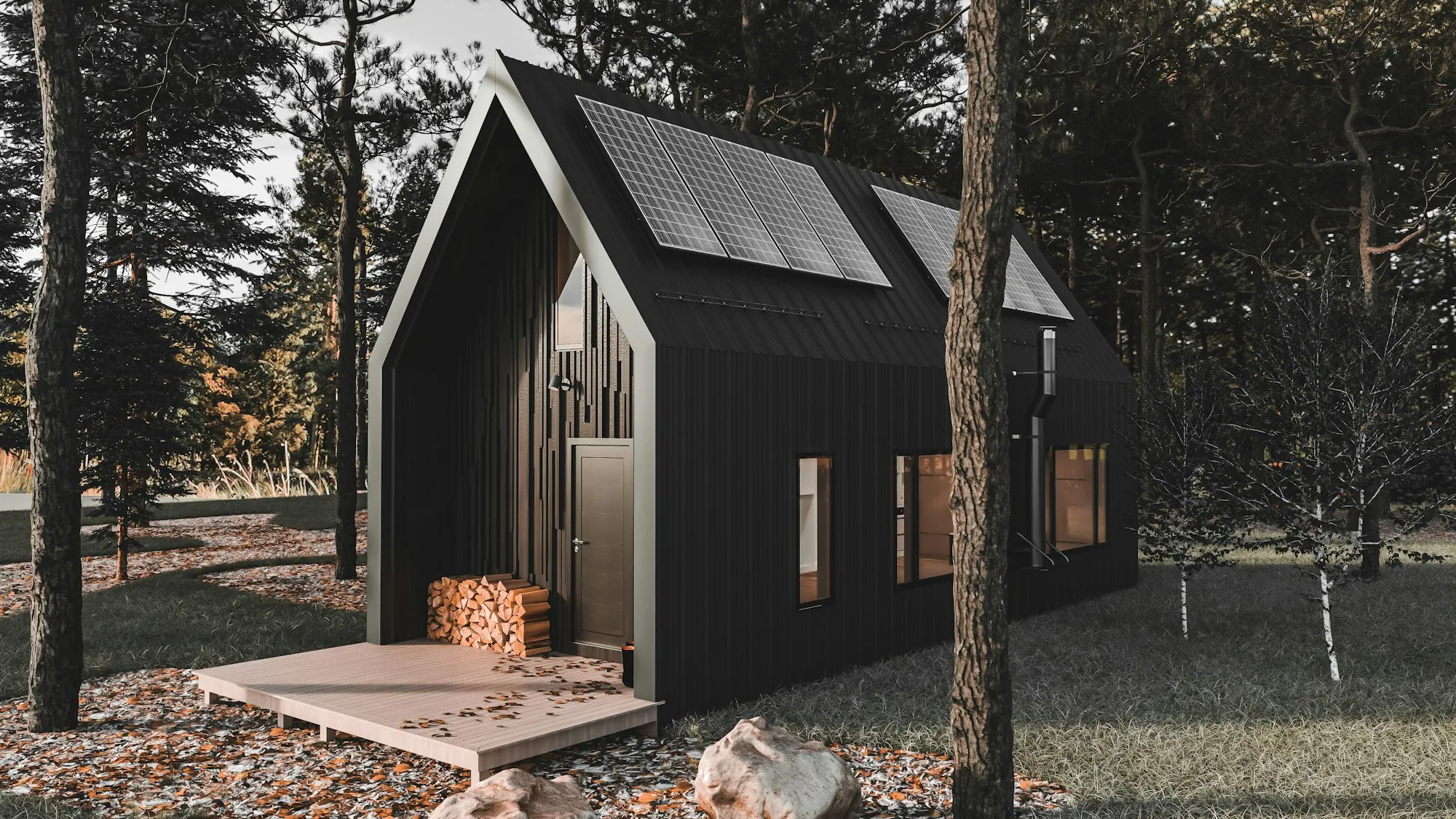 Modern dark-sided backyard cottage set among tall trees